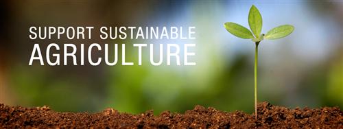 Sustainable Agriculture 